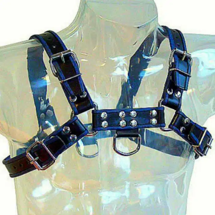 LEATHER BODY - HARNAIS BULLDOG CUIR NOIR / BLEU – Image 2